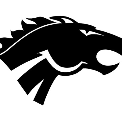 Bronco